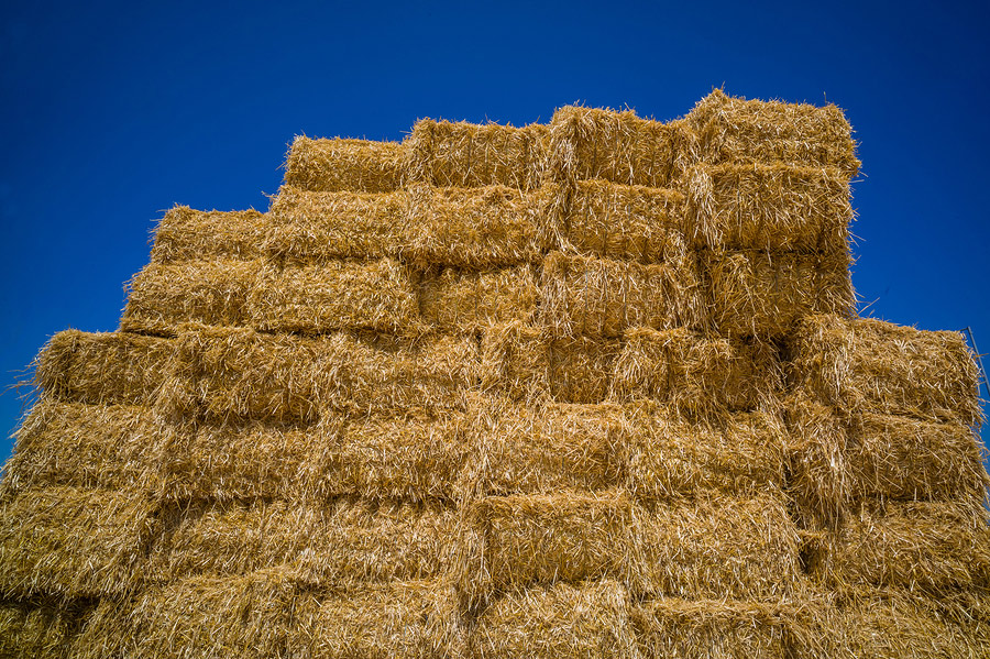 The Hidden Dangers of Straw Bale Gardening - The Grow Network : The