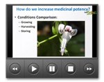 increasing-the-potency