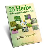 top-25-disaster-herbs