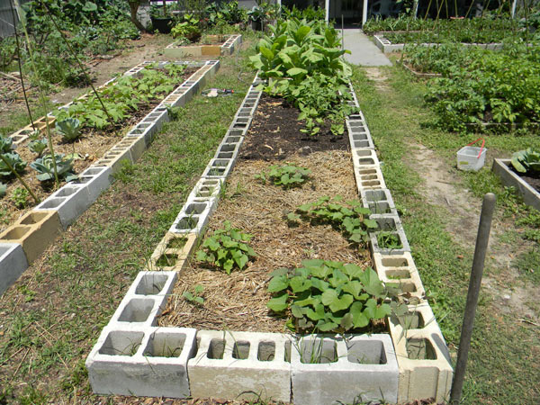 Easy Raised Beds