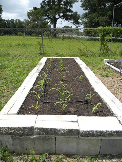 Easy Raised Beds